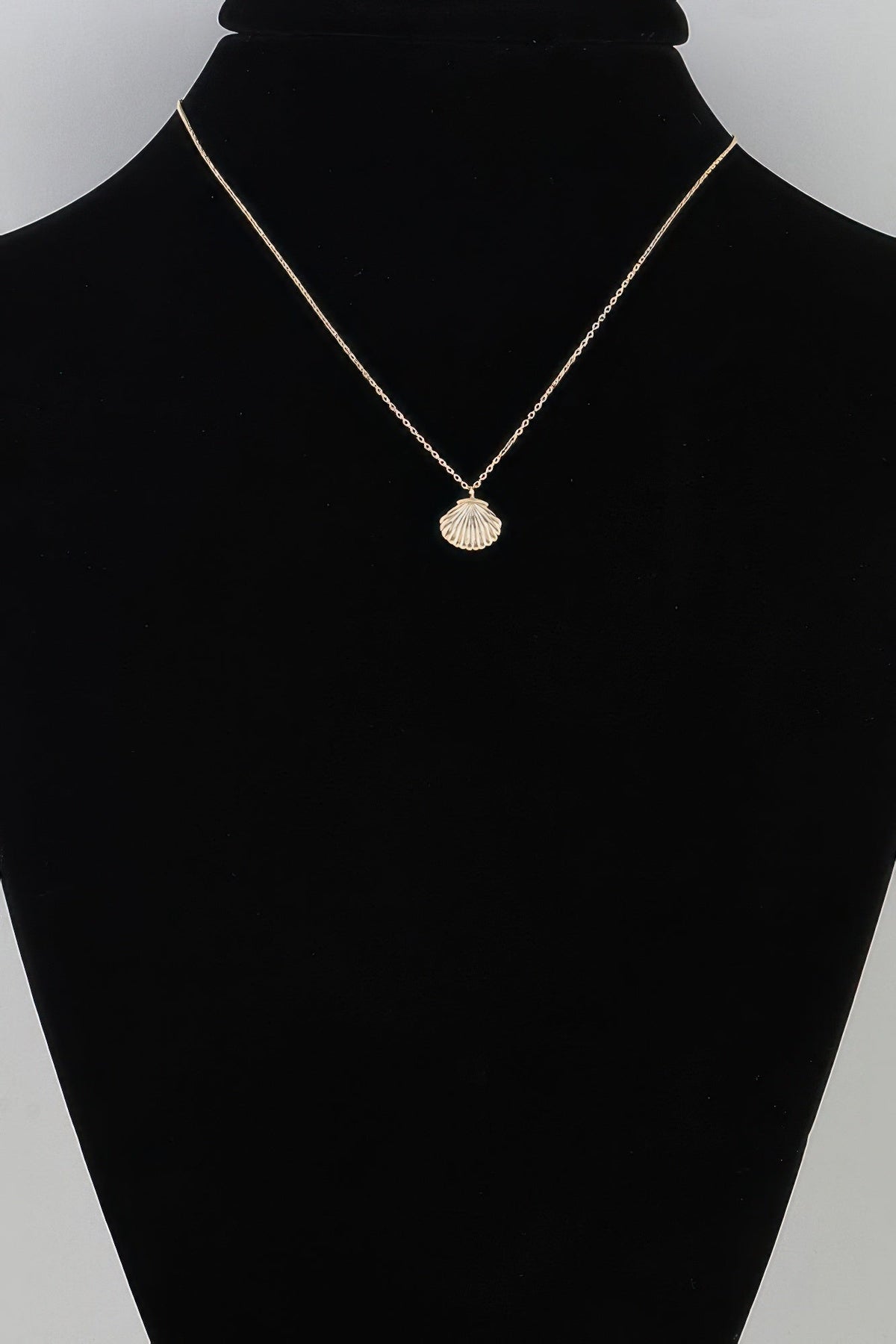Polished Seashell Pendant Necklace - Clusimo